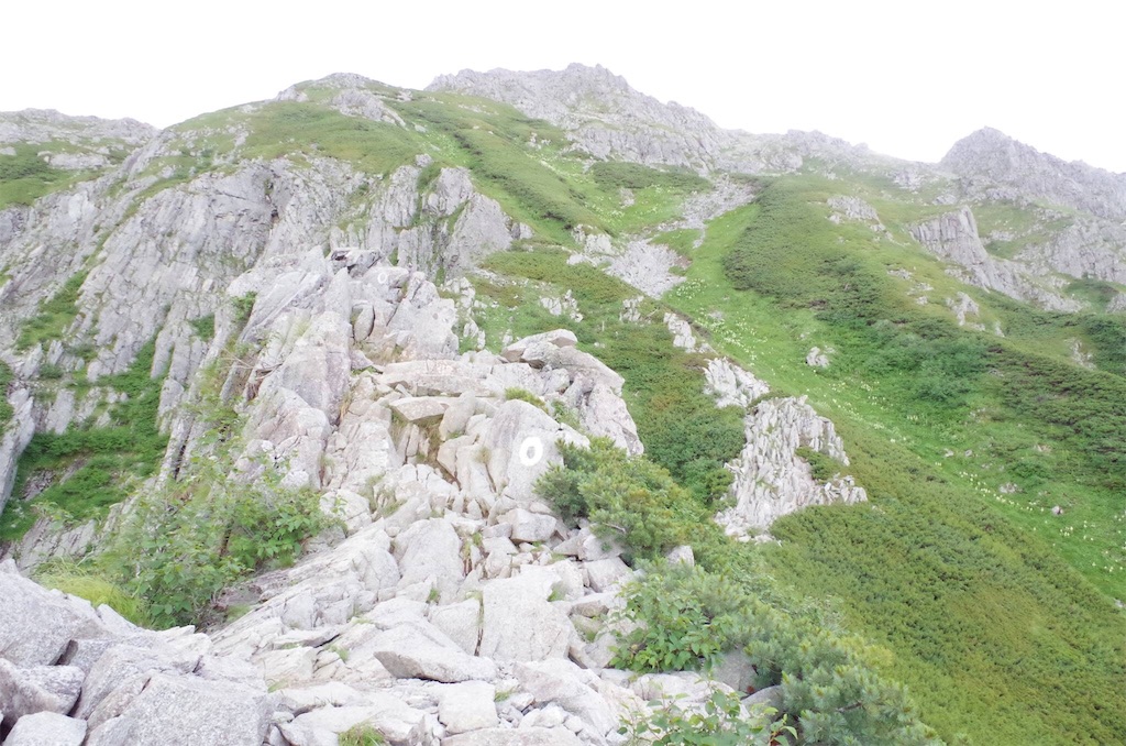 f:id:mthiro:20190706141516j:image f:id:mthiro:20190706141516j:image