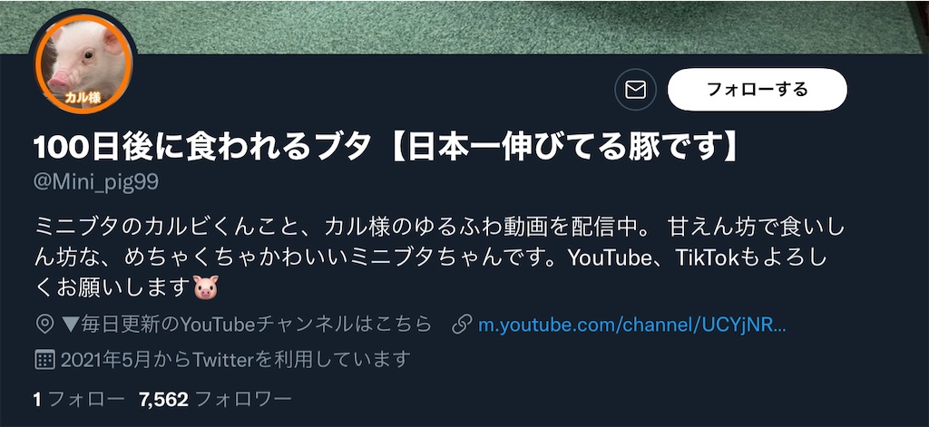 f:id:mtiit:20210901235233j:plain