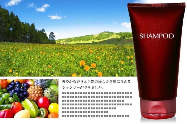 f:id:mtk-hcwj:20180209235622j:plain f:id:mtk-hcwj:20180209235622j:plain