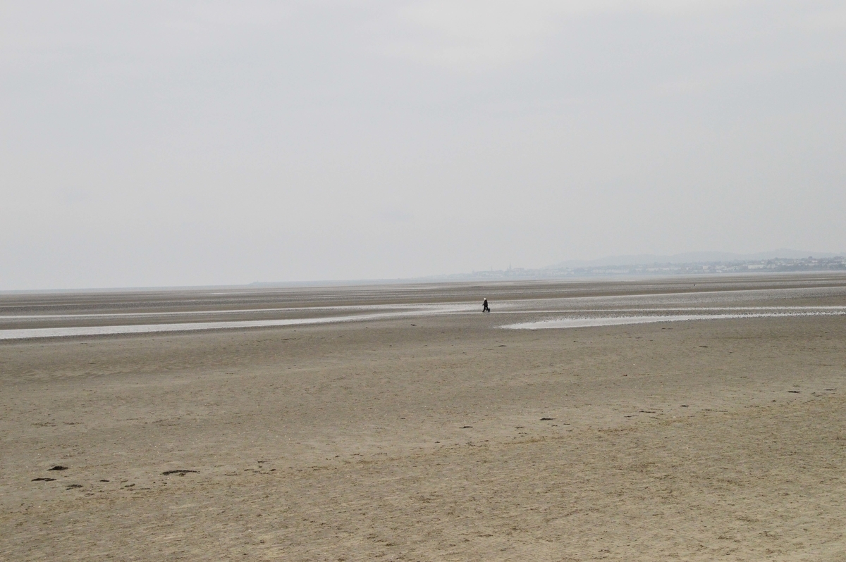 f:id:mtk_ililll:20190501002757j:plain