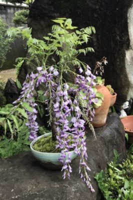 f:id:mtkinbouys:20200517094531j:plain