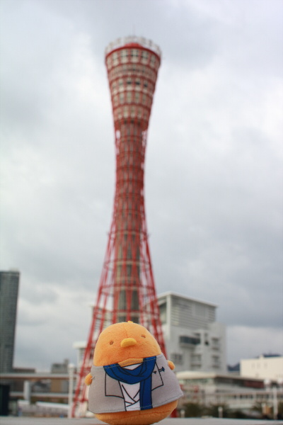 f:id:mtkn-azpn:20180210210537j:plain