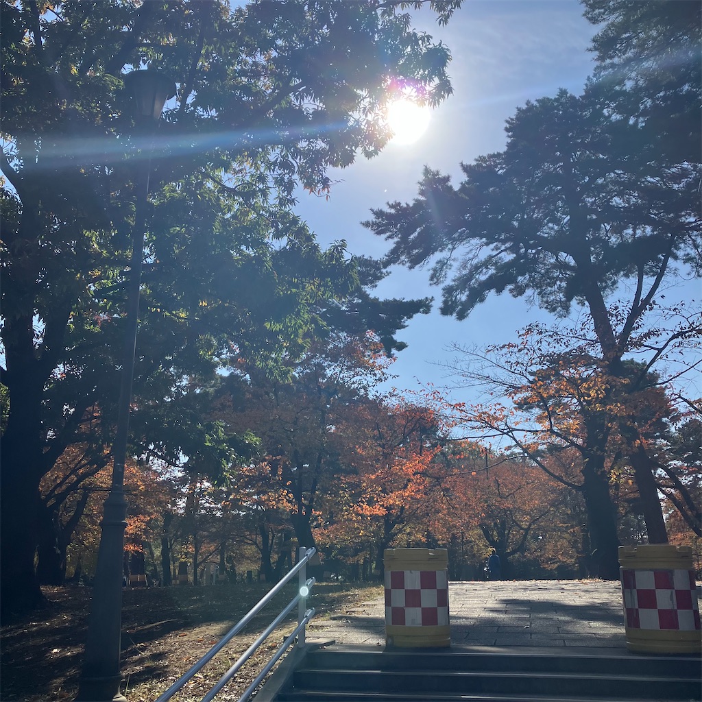 f:id:mtmund:20251118134041j:image