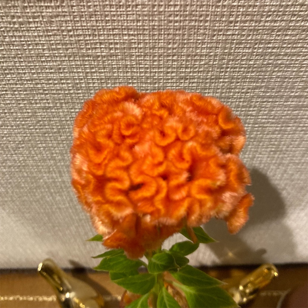 f:id:mtmund:20251119144007j:image