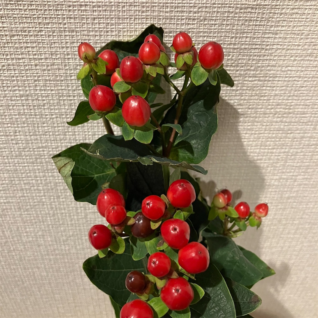 f:id:mtmund:20251127141415j:image