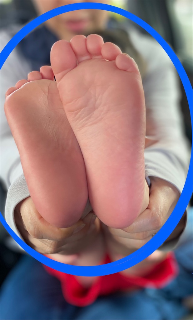 f:id:mtotto:20230625120503j:image f:id:mtotto:20230625120503j:image