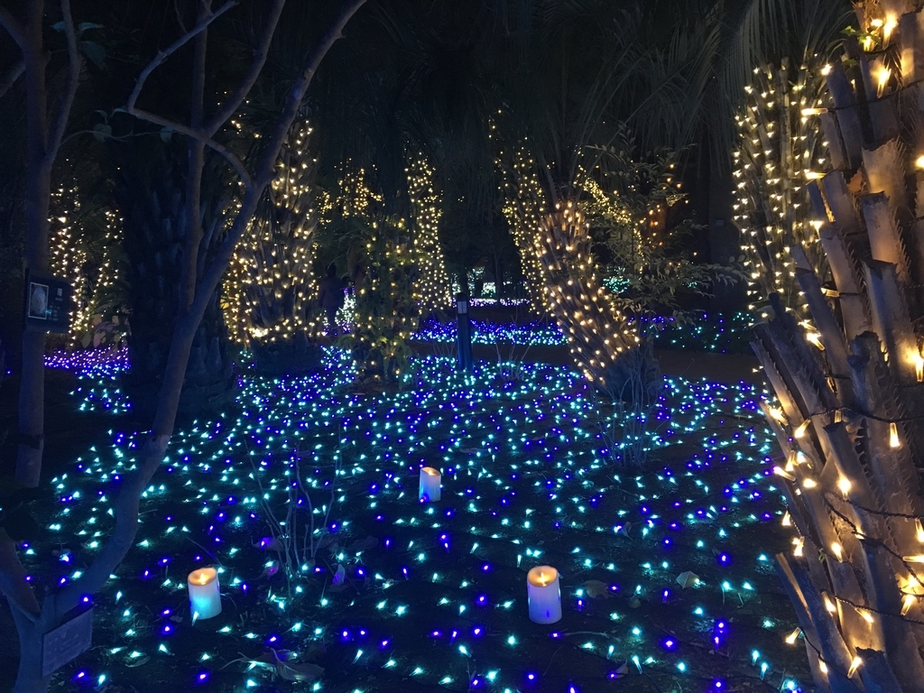 f:id:mtrk21:20190121002914j:plain