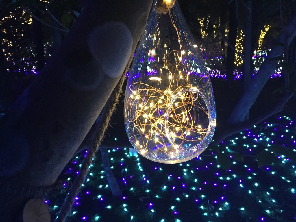 f:id:mtrk21:20190121003005j:plain