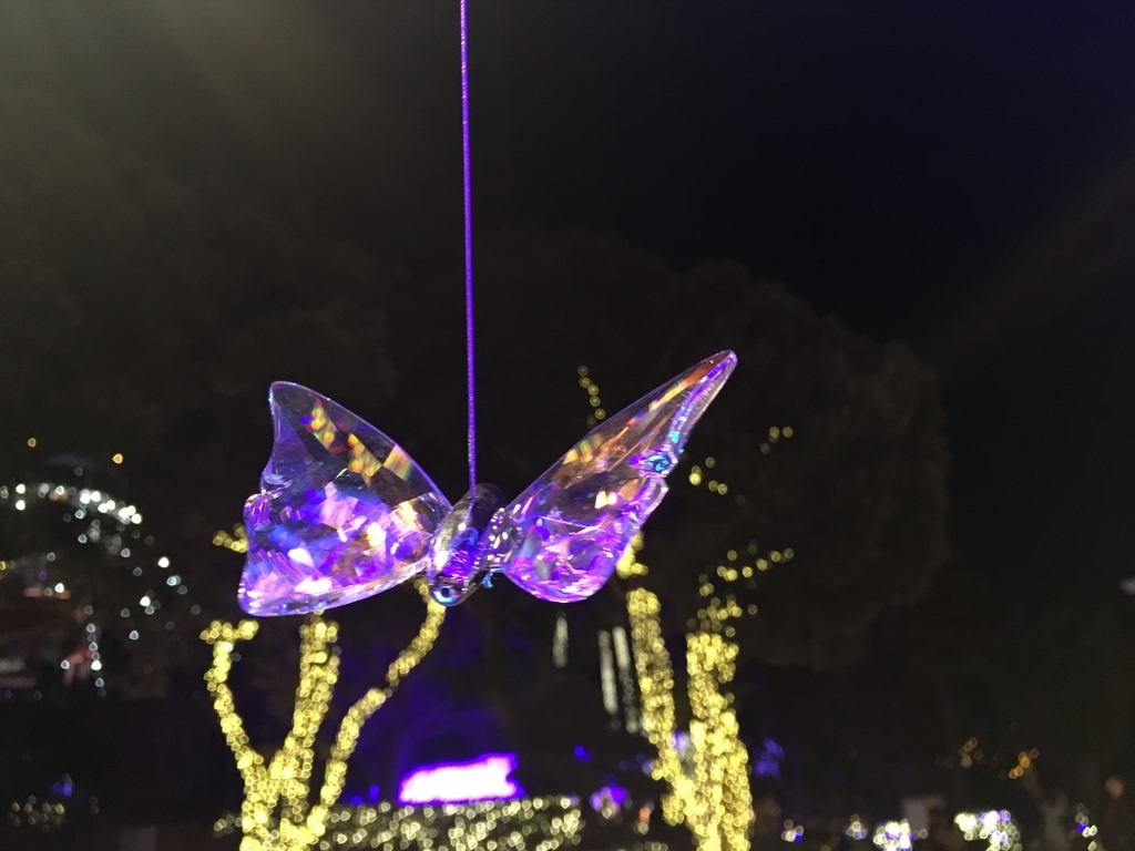 f:id:mtrk21:20190121010407j:plain