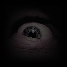 f:id:mtrue:20170806141946j:plain