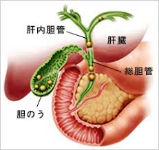 f:id:mtrue:20170911092312j:plain