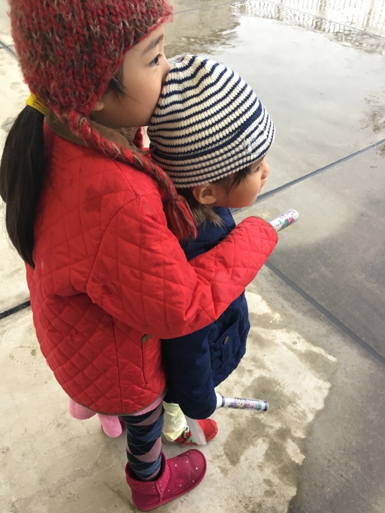 f:id:mtrue:20171123194005j:plain f:id:mtrue:20171123194005j:plain