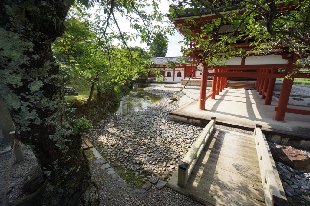 平等院庭園 - taba-LOG