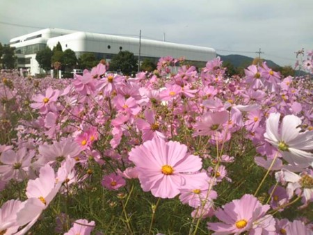 f:id:mtuechi:20101023120514j:image f:id:mtuechi:20101023120514j:image
