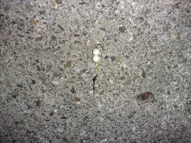 f:id:mtwildcross:20191211142731j:plain f:id:mtwildcross:20191211142731j:plain