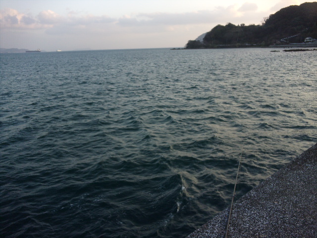 f:id:mtwildcross:20191231104223j:plain f:id:mtwildcross:20191231104223j:plain