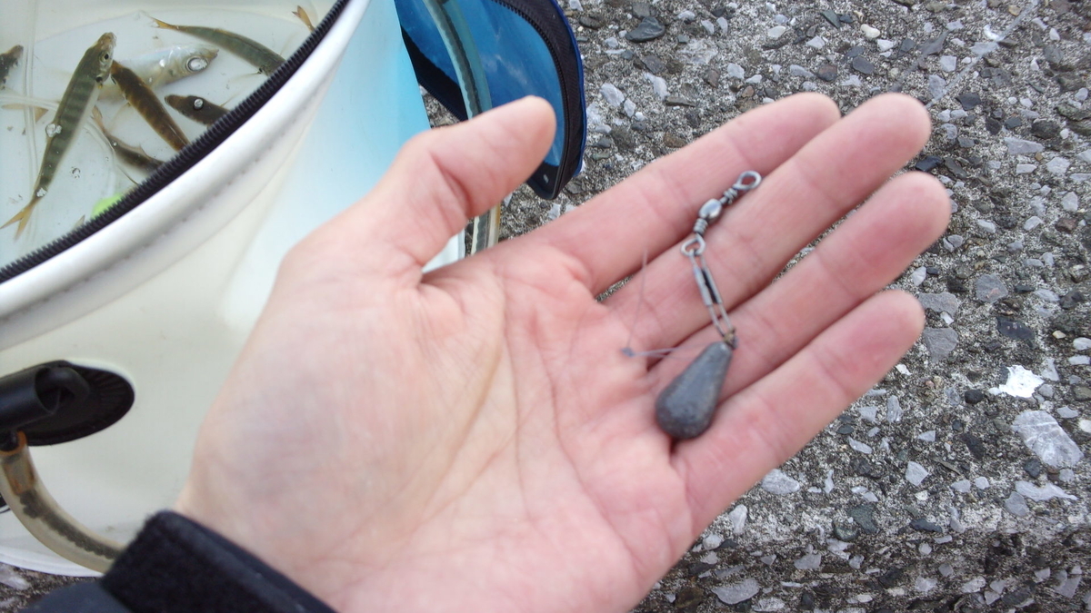 f:id:mtwildcross:20201118001955j:plain
