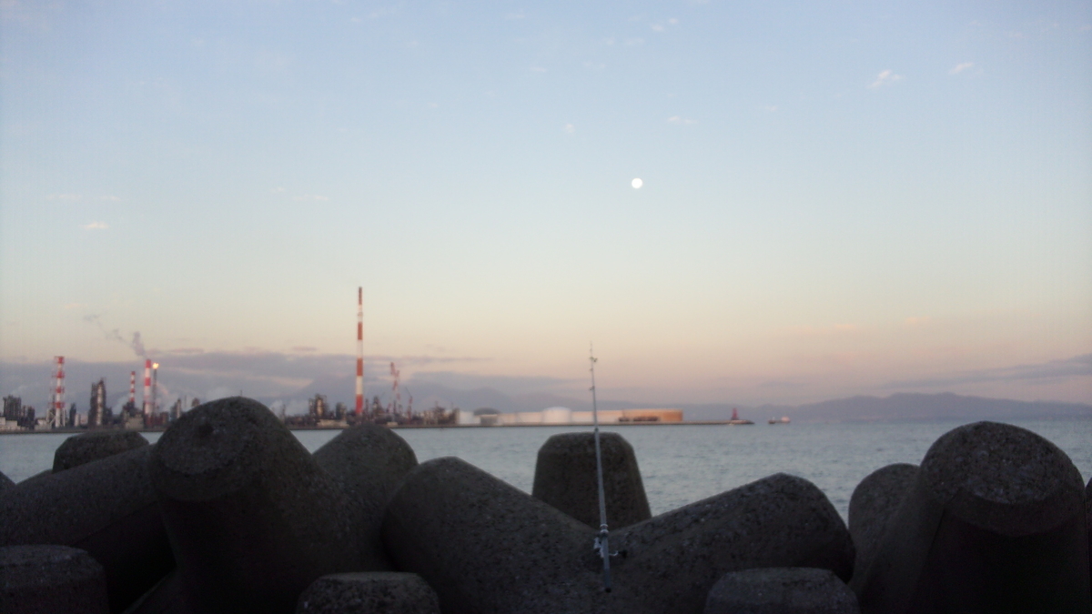 f:id:mtwildcross:20201209141004j:plain