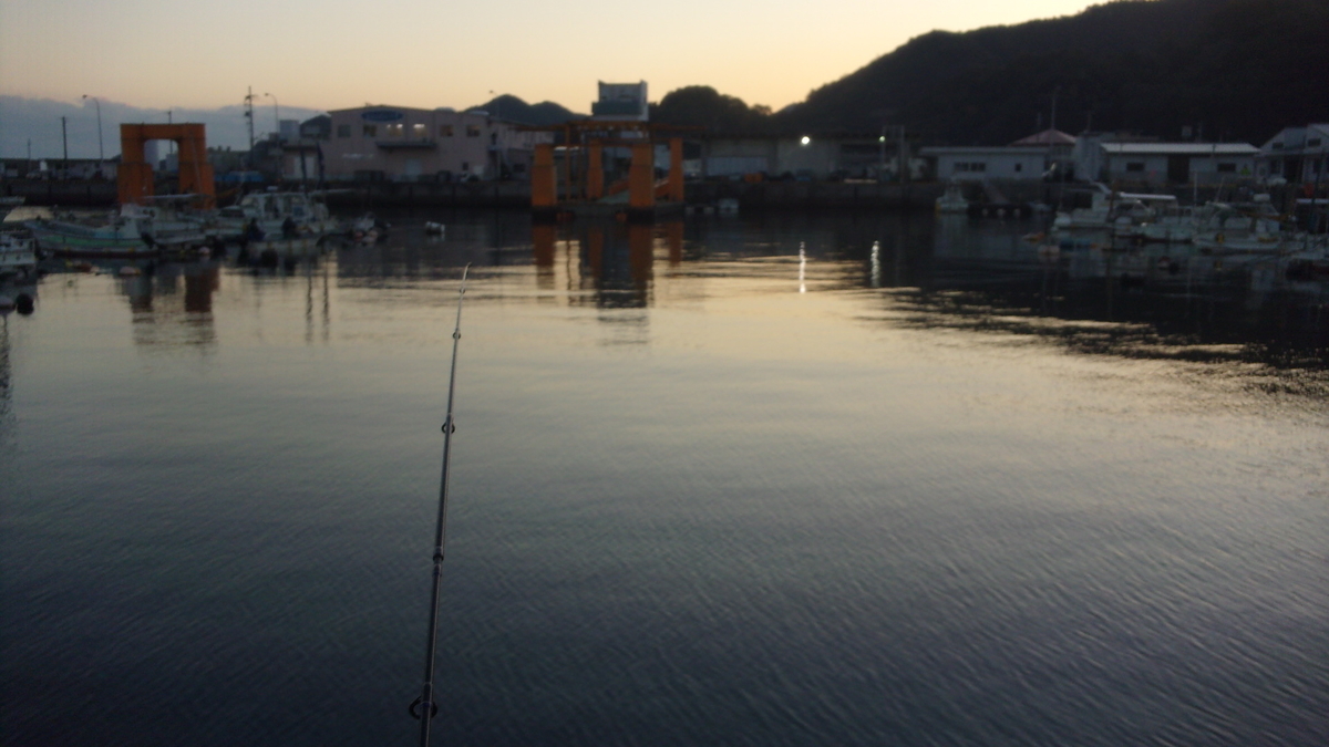 f:id:mtwildcross:20201209141407j:plain
