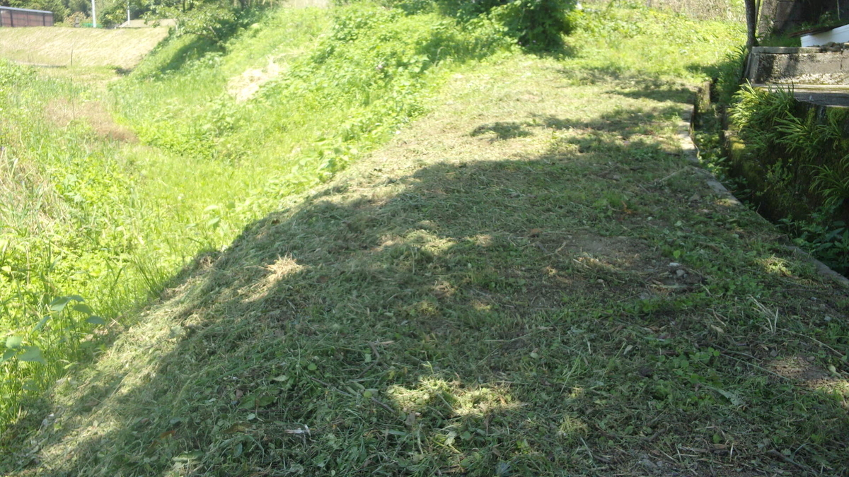 f:id:mtwildcross:20210531224307j:plain