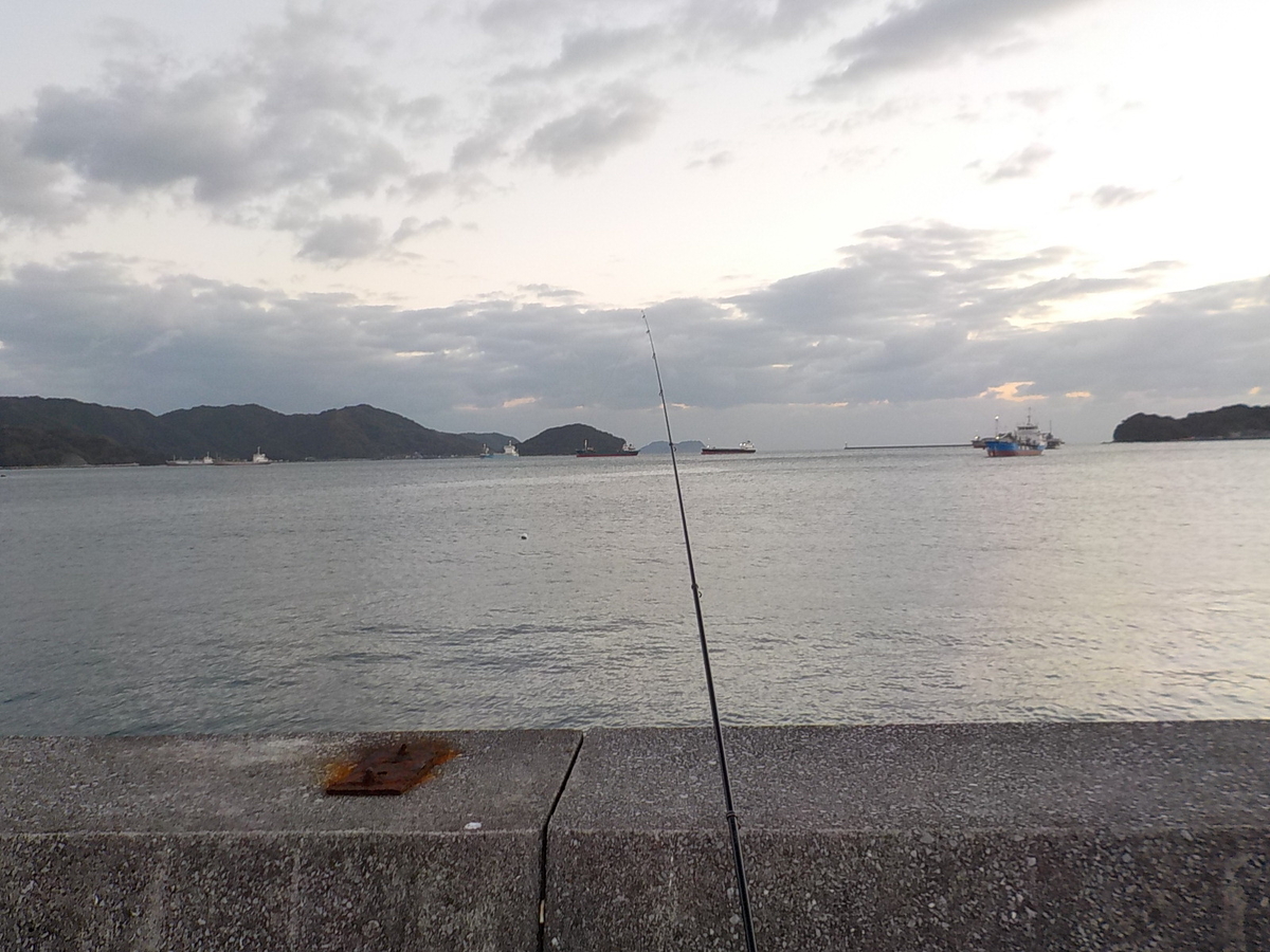 f:id:mtwildcross:20211128110703j:plain