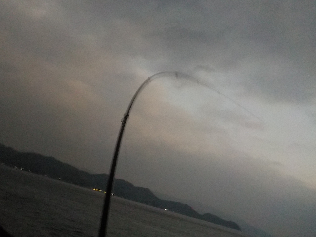 f:id:mtwildcross:20211217095837j:plain