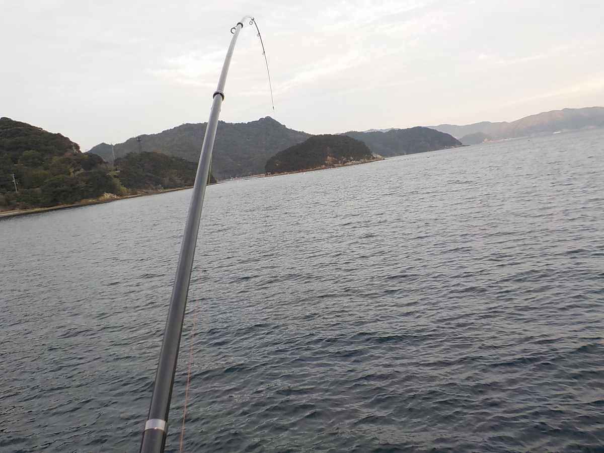 f:id:mtwildcross:20220105195056j:plain