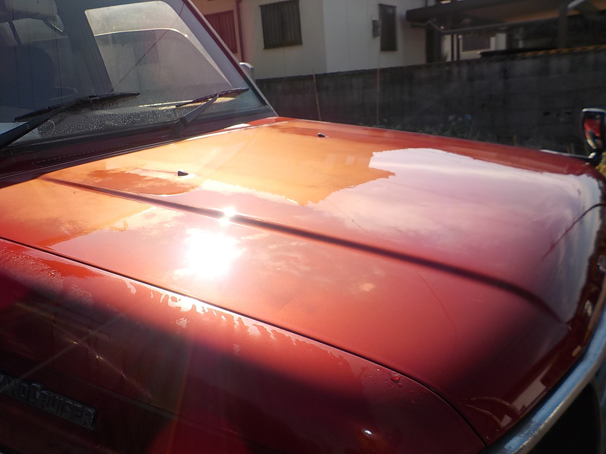 f:id:mtwildcross:20220109173627j:plain