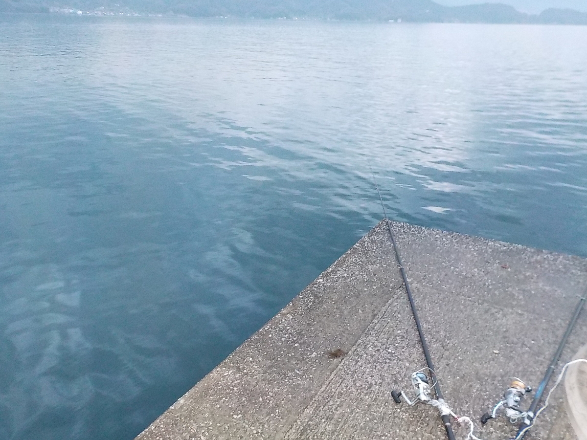 f:id:mtwildcross:20220314120135j:plain