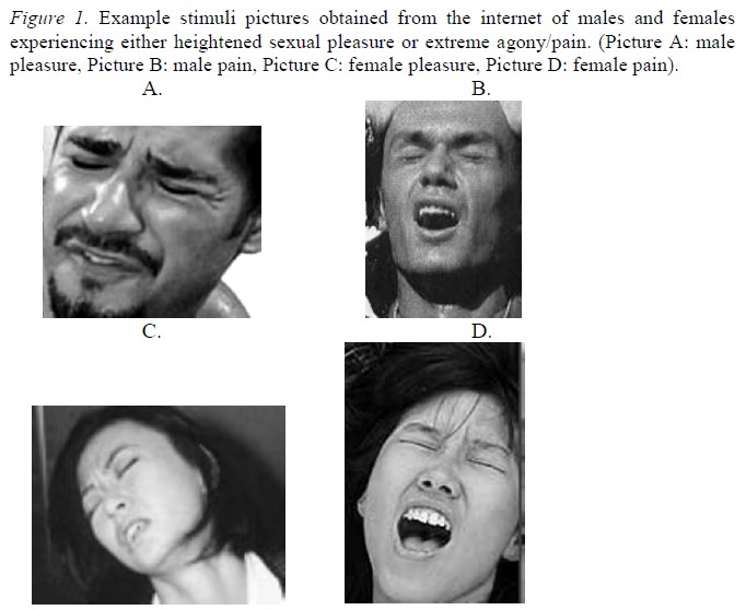 f:id:mtwrmtwr:20170121202009j:plain