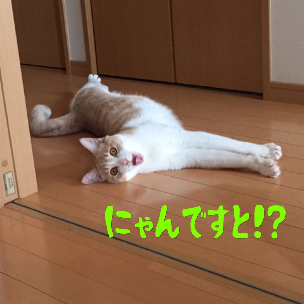 f:id:mu-channel:20170203005429j:image f:id:mu-channel:20170203005429j:image