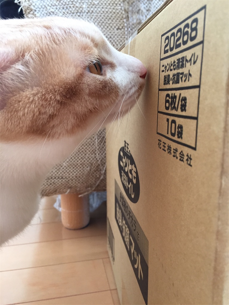 f:id:mu-channel:20170204085757j:image f:id:mu-channel:20170204085757j:image