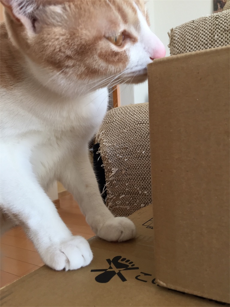 f:id:mu-channel:20170204085826j:image f:id:mu-channel:20170204085826j:image