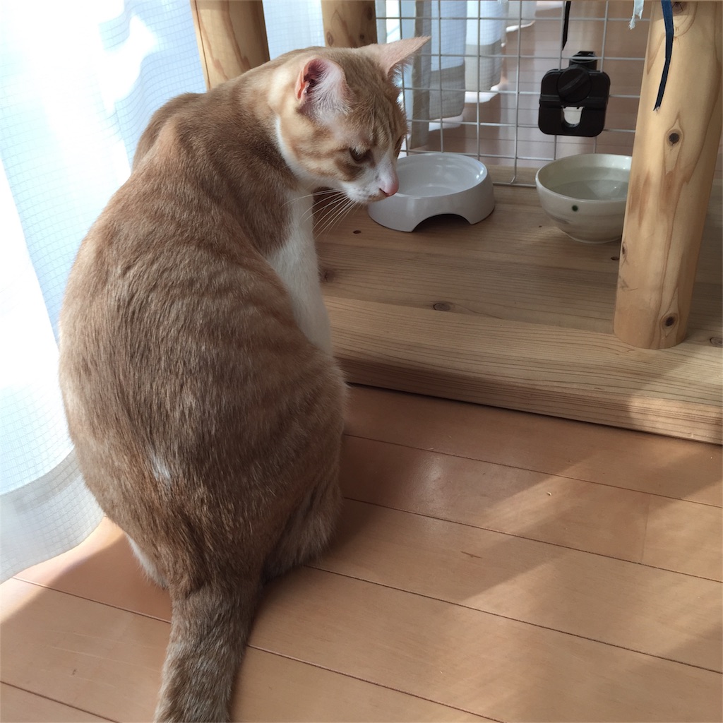 f:id:mu-channel:20170204091321j:image f:id:mu-channel:20170204091321j:image