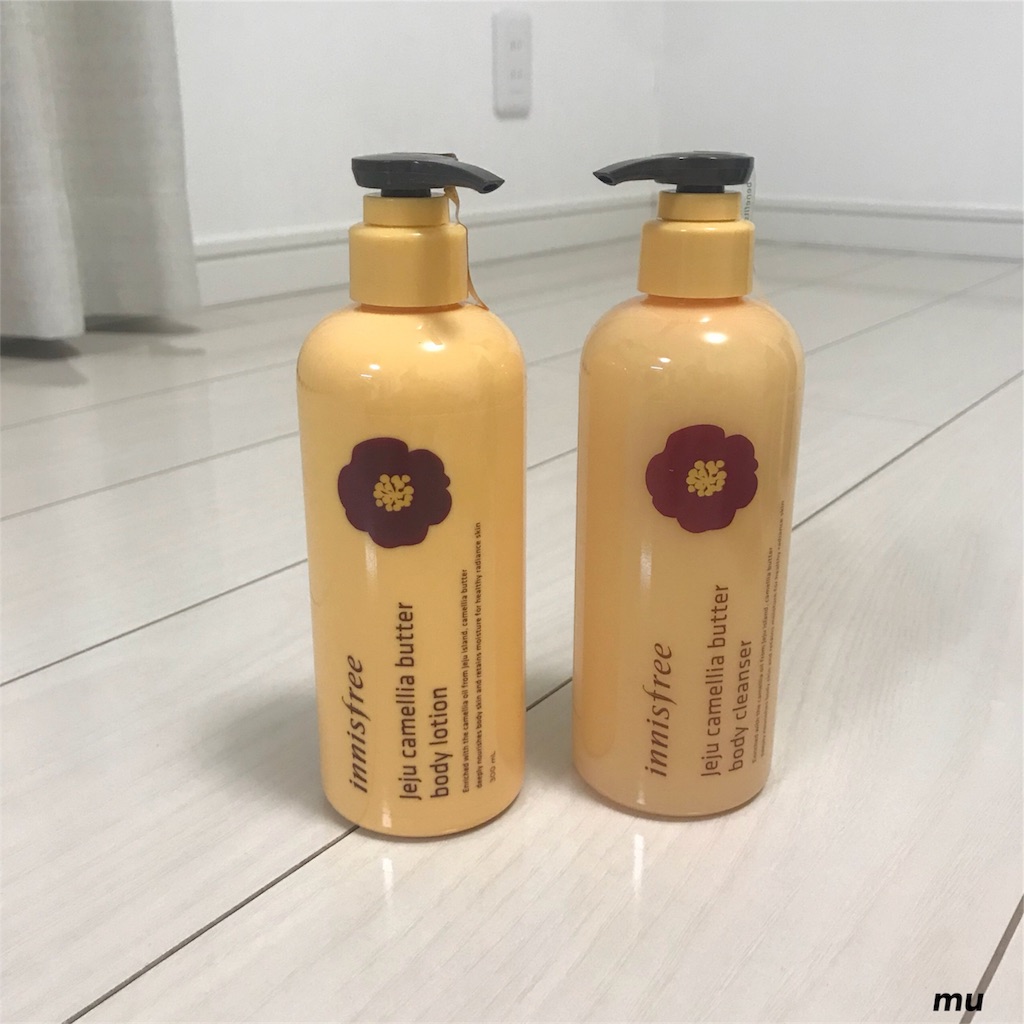 f:id:mu-water:20190114180239j:image