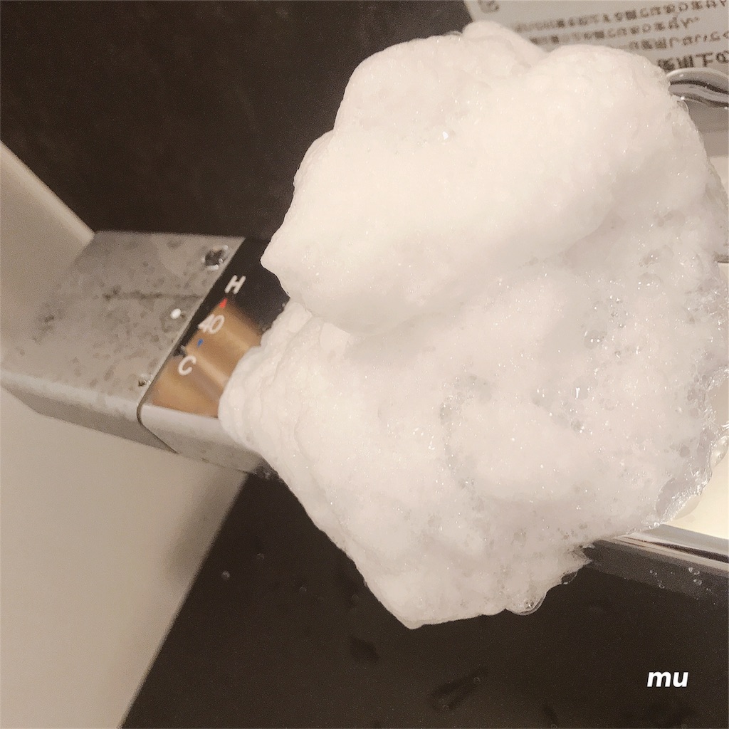 f:id:mu-water:20190114204831j:image