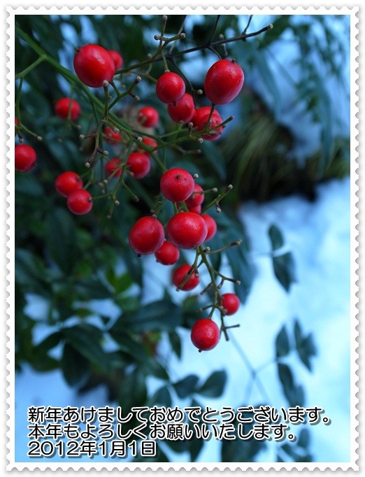 f:id:mu1ra00:20111231104220j:image f:id:mu1ra00:20111231104220j:image