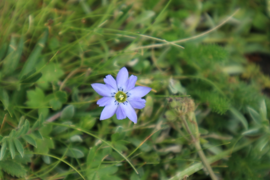 f:id:mu2ro:20181018034541j:plain