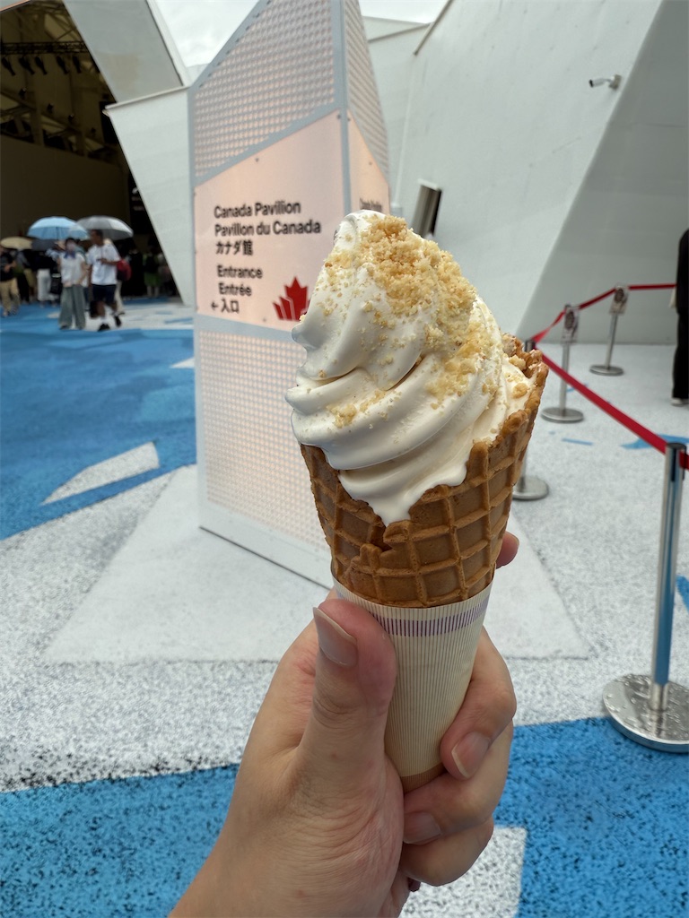 f:id:mu_tu:20250702130320j:image