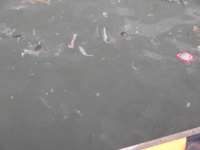 f:id:mu_weblog:20191027201641j:plain f:id:mu_weblog:20191027201641j:plain