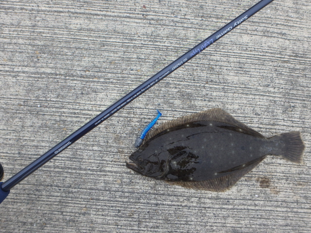 f:id:mu_weblog:20200712213411j:plain