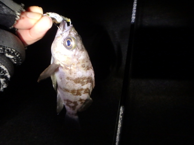 f:id:mu_weblog:20211121224745j:plain