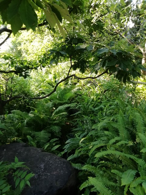 f:id:muabko:20190721204536j:plain f:id:muabko:20190721204536j:plain