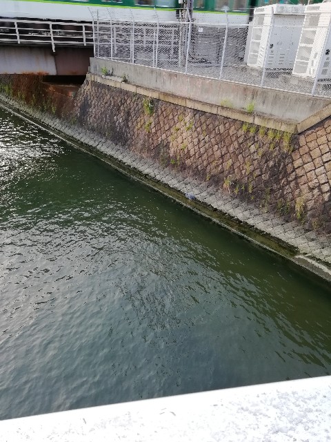 f:id:muabko:20190804214520j:plain f:id:muabko:20190804214520j:plain