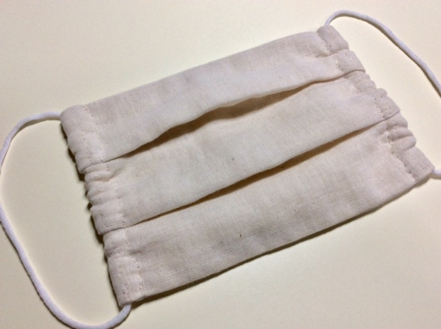 f:id:mubikichi:20200622104148j:plain