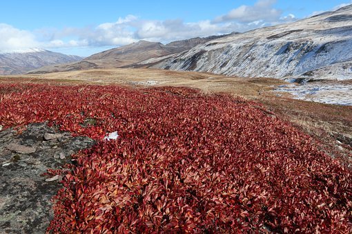 f:id:mubou_rakuzi:20211104065636j:plain