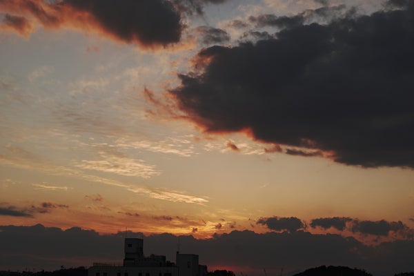 f:id:mubou_rakuzi:20220120204827j:plain