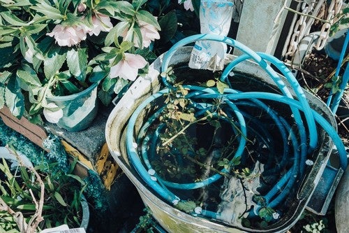 f:id:mubou_rakuzi:20220125205038j:plain