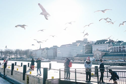 f:id:mubou_rakuzi:20220131210111j:plain