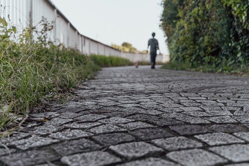 f:id:mubou_rakuzi:20220302205937j:plain